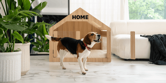 Crate Training With Wooffy Modern Dog House