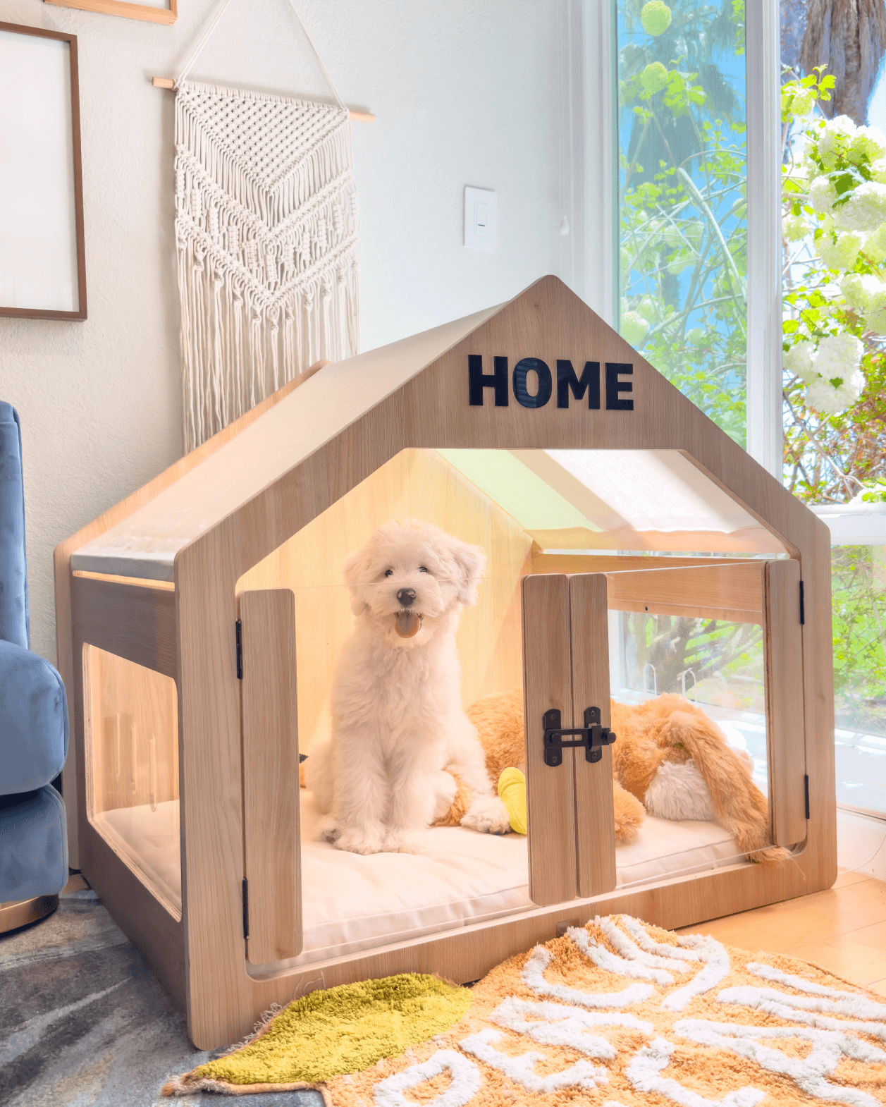 Bernedoodle - Sugar in the Wooffy modern dog house
