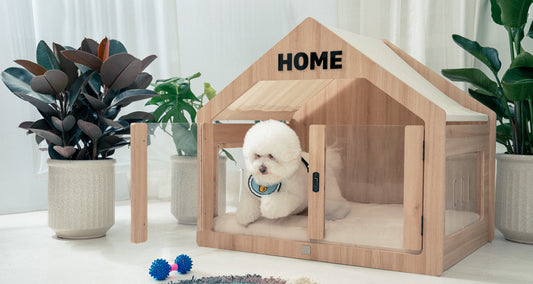Wooffy Modern Dog House Indoor